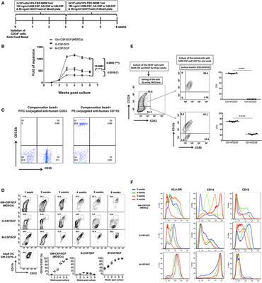 GM-CSF Promotes the Expansion and Differentiation of Cord Blood Myeloid-Derived Suppressor Cells, Which Attenuate Xenogeneic Graft-vs.-Host Disease